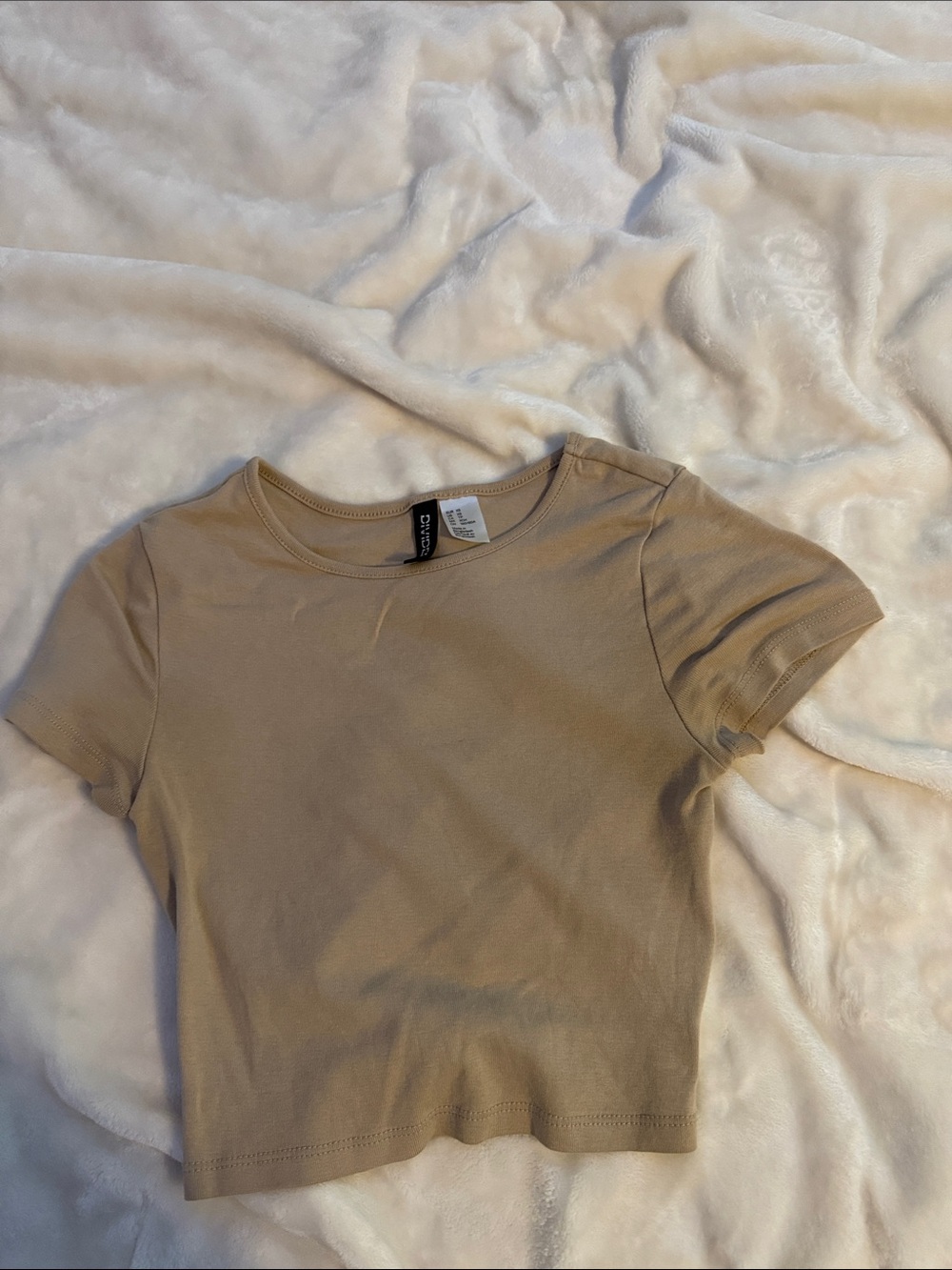 Divided Beige Crop Top